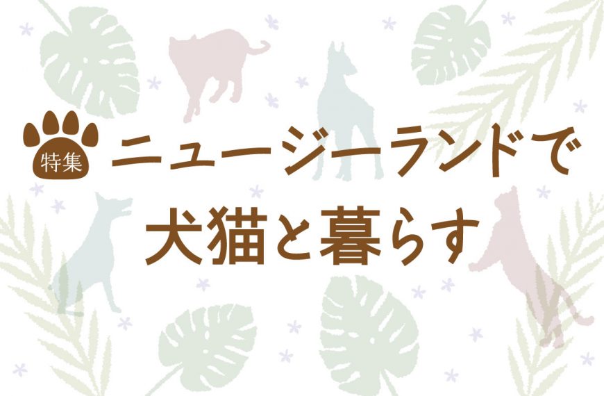 ニュージーランドで犬猫と暮らす